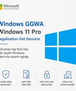 Windows GGWA Windows 11 Pro Legalization Get Genuine bản quyền chính hãng dành cho doanh nghiệp